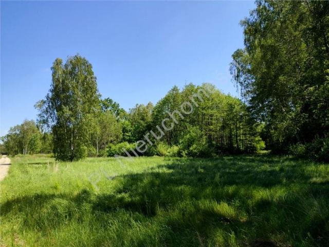 Działka 6 000 m², Radonie