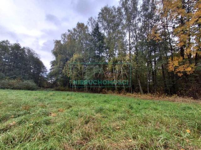 Działka 6 000 m², Radonie