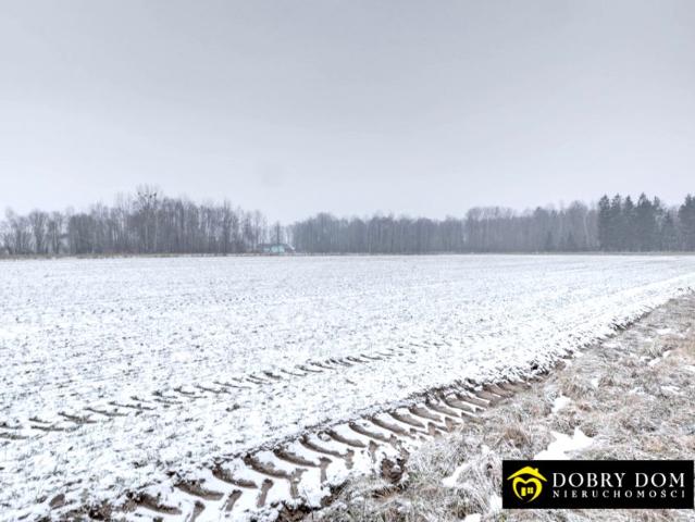 Działka 6 000 m², Rafałówka