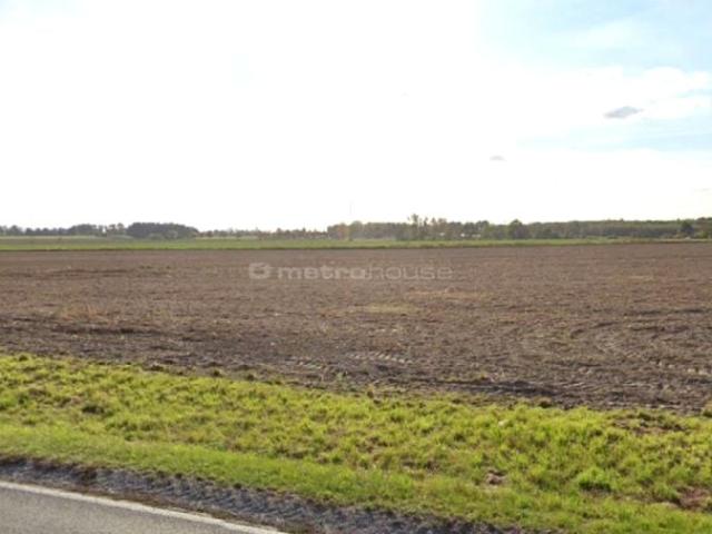Działka 6 014 m², Białęgi