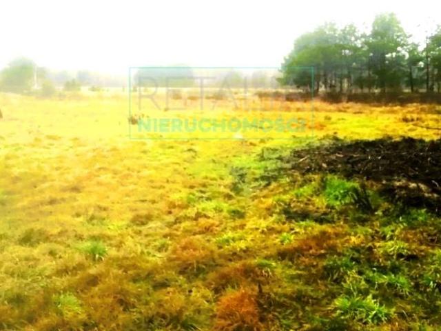 Działka 6 024 m², Słubica Dobra