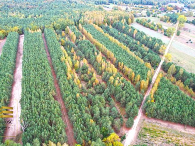 Działka 6 058 m², Stary Antonin