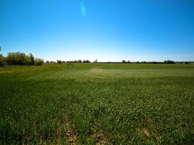 Działka 6 069 m², Małe Rudy