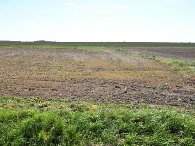 Działka 6 100 m², Kamienna