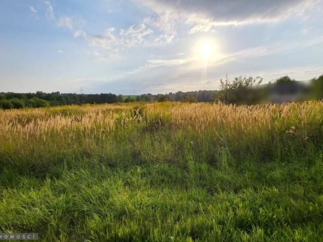 Działka 6 198 m², Zielonki