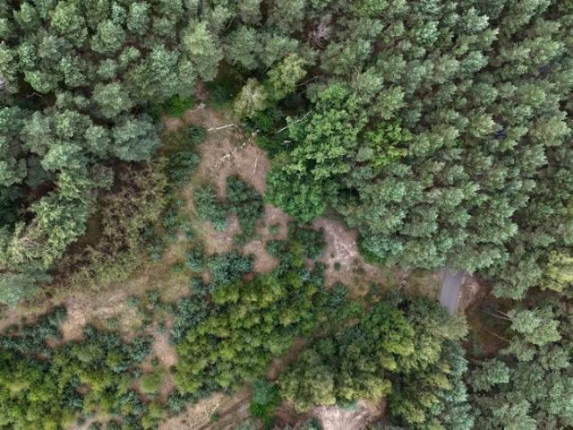 Działka 6 300 m², Kalisz
