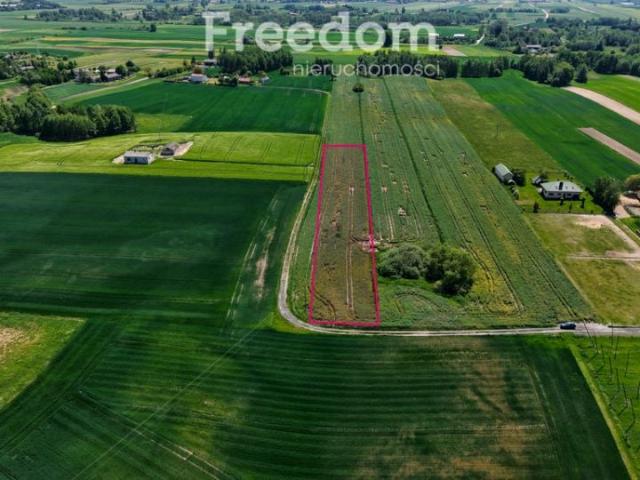Działka 6 300 m², Ludwin Kolonia