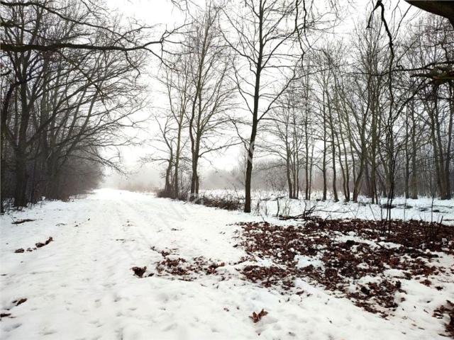 Działka 6 300 m², Milanówek