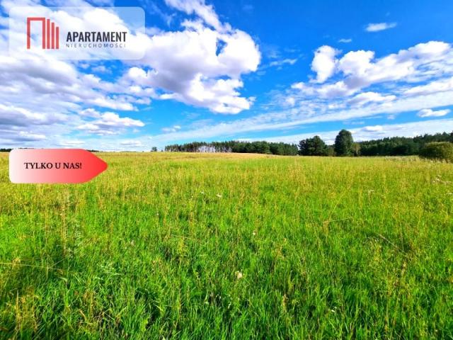 Działka 6 300 m², Stężyca