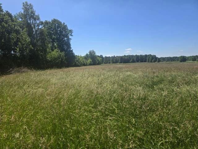 Działka 6 400 m², Białki