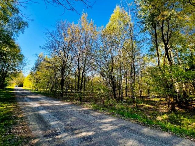 Podlesie 6 400 m², Wojnicz