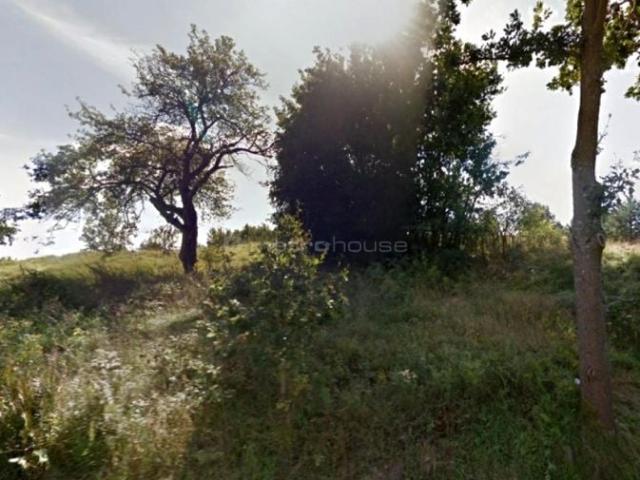 Działka 6 400 m², Kiełpino
