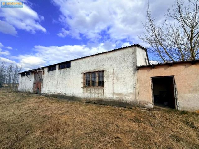 Działka 6 434 m², Chrzczony
