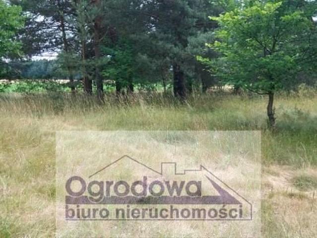Działka 6 472 m², Nowy Kębłów