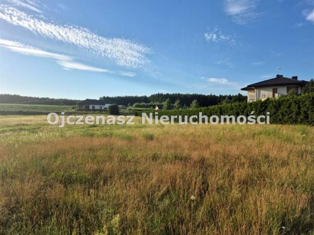 Działka 6 500 m², Dąbrówka Nowa