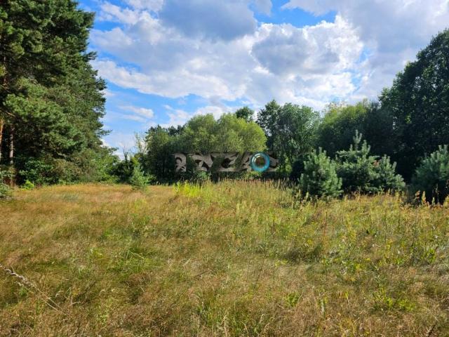 Działka 5 000 m², Lewików