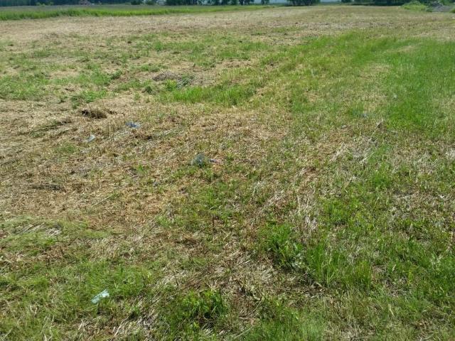 Działka 6 547 m², Chrzanów
