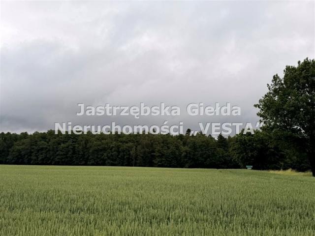 Działka 6 551 m², Jastrzębie Zdrój