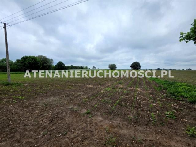 Działka 6 600 m², Mamlicz