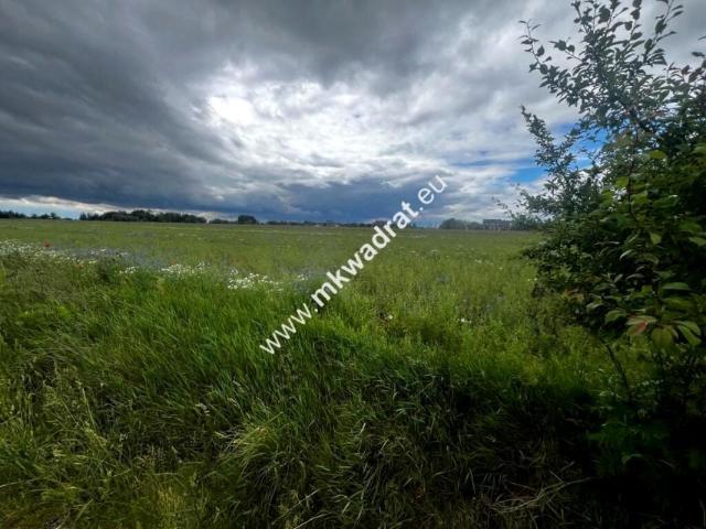 Działka 6 600 m², Nowe Faszczyce