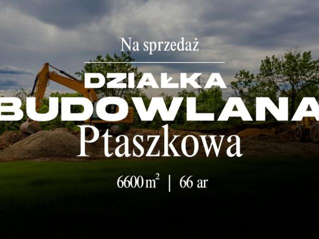 Działka 6 600 m², Ptaszkowa