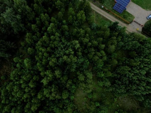 Działka 6 600 m², Świętajno