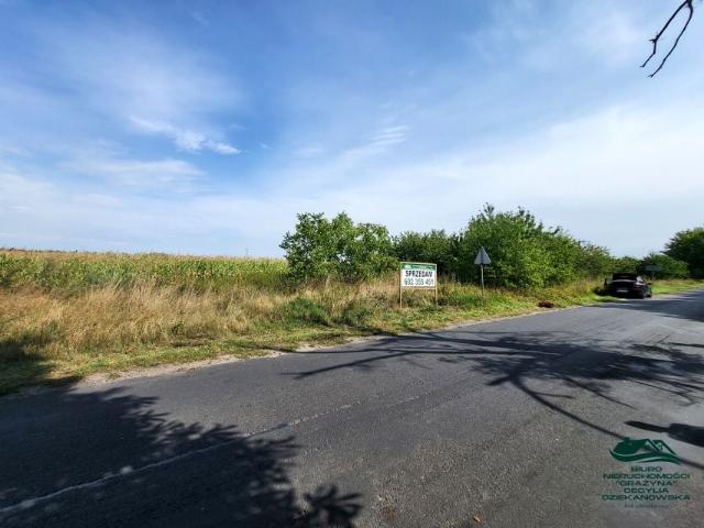 Działka 6 616 m², Nieszawa