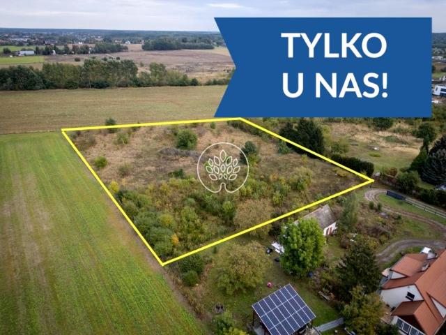 Działka 6 648 m², Niemcz