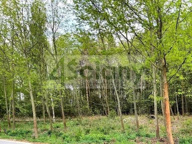 Działka 6 678 m², Nadarzyn