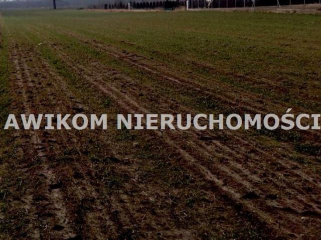 Działka 6 700 m², Budy Trzcińskie