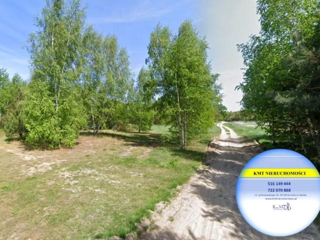 Działka 6 700 m², Zagajów
