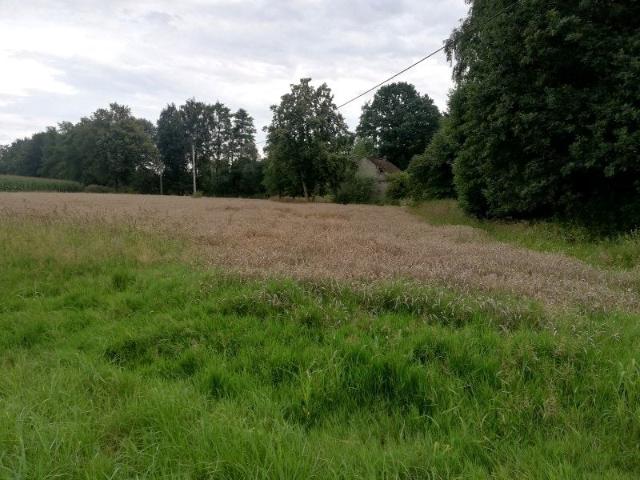 Działka 6 727 m², Mnich