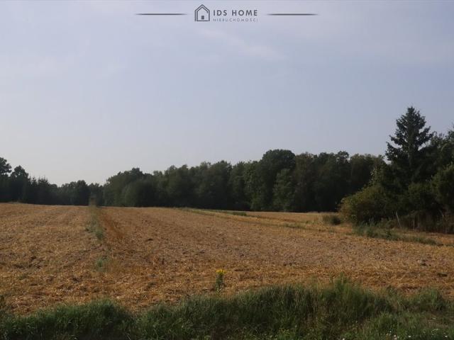 Działka 6 738 m² w Franciszkowie – las, media, MPZP