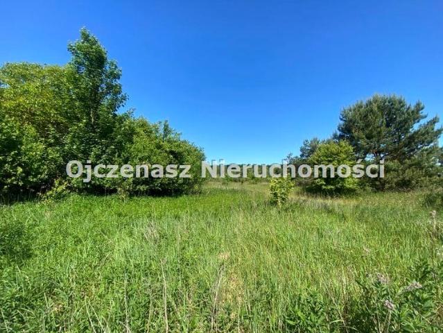 Działka 6 800 m², Dąbrowa Chełmińska