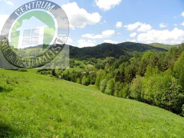 Działka 6 800 m², Ochotnica Dolna