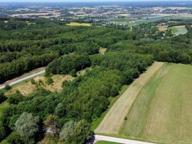 Działka 6 856 m², Będziemyśl