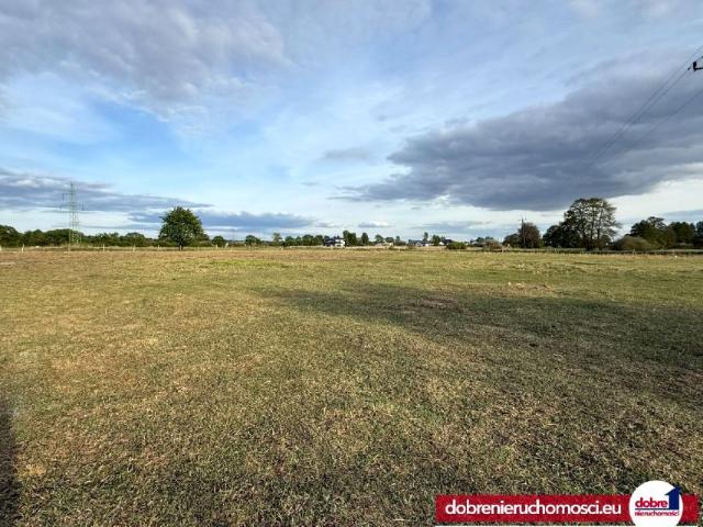 Działka 6 892 m², Przyłęki