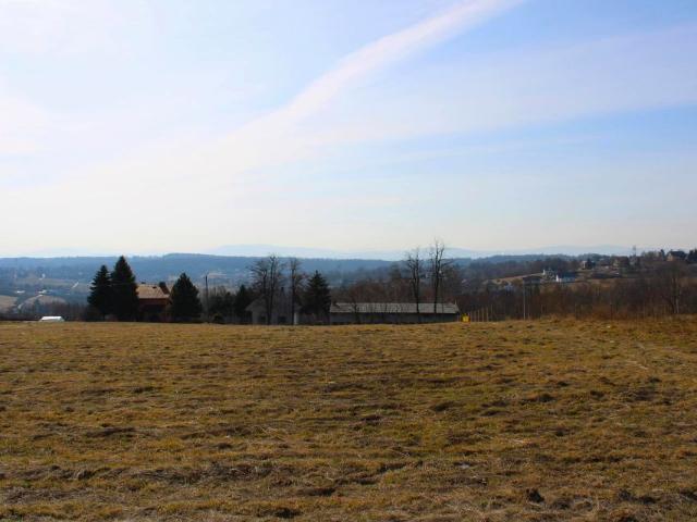 Działka 6 900 m², Podstolice