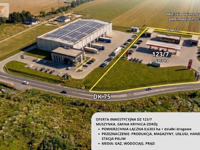 Działka 6 949 m², Muszynka