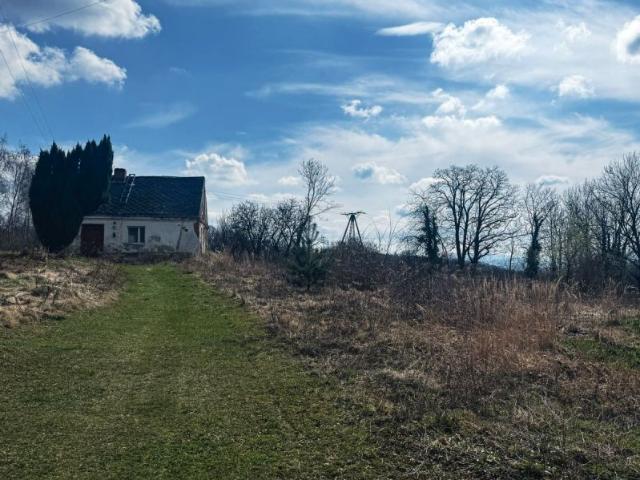 Działka 6 999 m², Polski Świętów