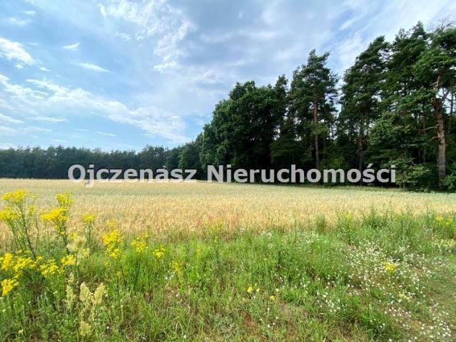 Działka 740 m², Nekla