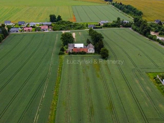 Działka 74 819 m², Nowa Wieś Złotoryjska