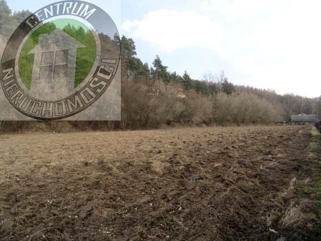 Działka 756 m², Roztoka Brzeziny