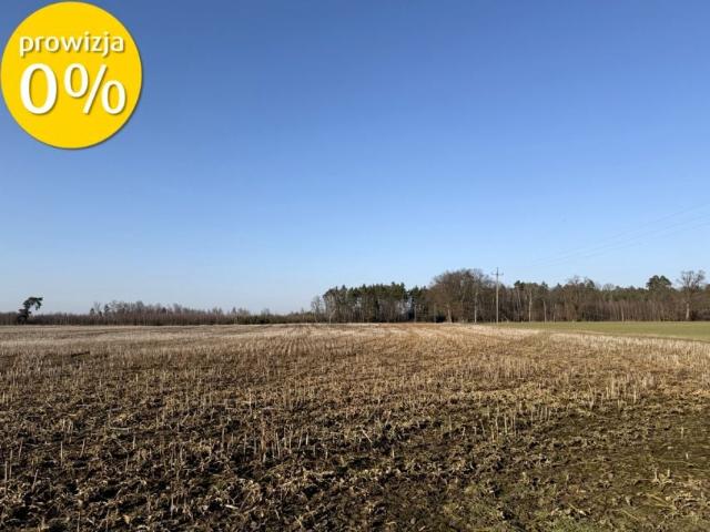 Działka 75 015 m², Zajączkowo