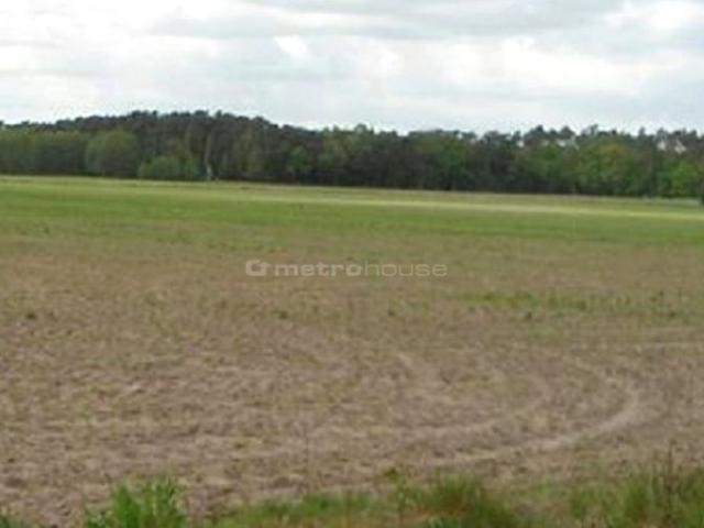 Działka 75 530 m², Luciny