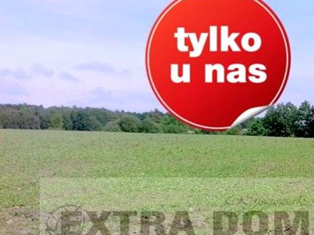 Działka 77 200 m², Łosośnica