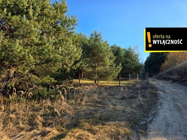 Działka 783 m², Życiny