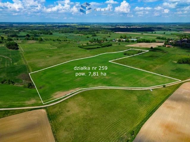 Działka 78 100 m², Liwa