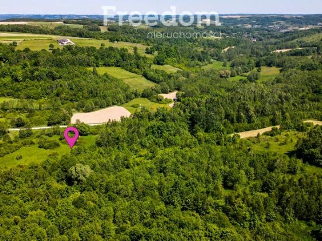 Działka 78 800 m², Błażowa Górna