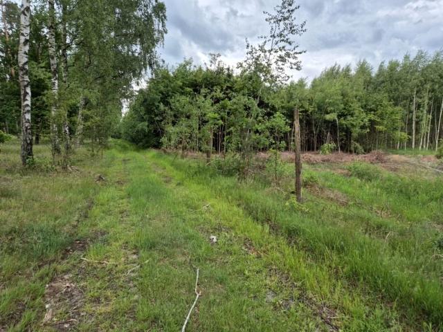 Działka 78 800 m², Wapnica